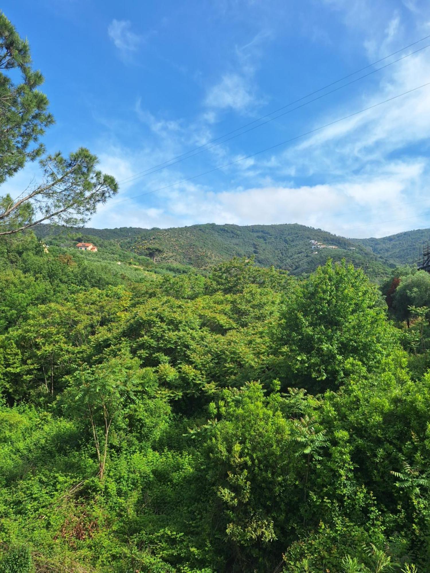 Artemisia Sestri Levante Exterior foto